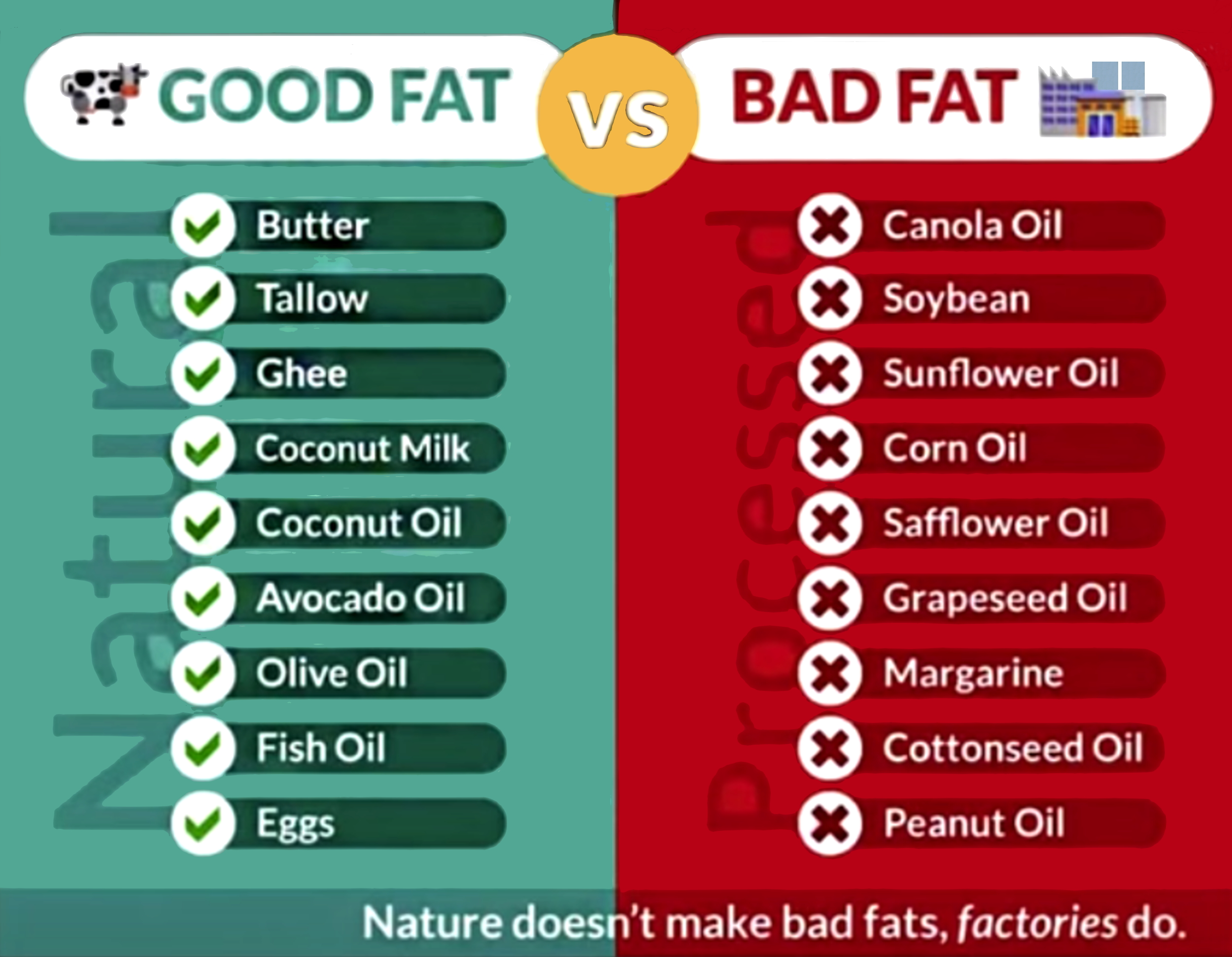 Good Fats vs Bad Fats